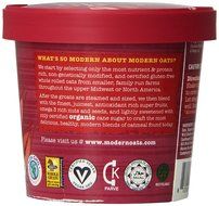 Modern Oats Apple Walnut Oatmeal, 2.6 Ounce (Pack of 12) N73