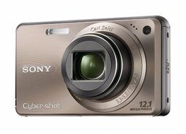 Sony Cyber-shot DSC-W290 12.1 MP Digital Camera with 5x Optical Zoom and Super Steady Shot Image Stabilization... N4