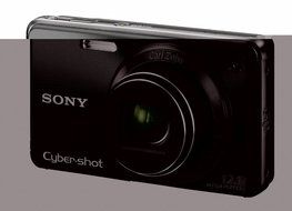 Sony Cyber-shot DSC-W290 12.1 MP Digital Camera with 5x Optical Zoom and Super Steady Shot Image Stabilization... N5