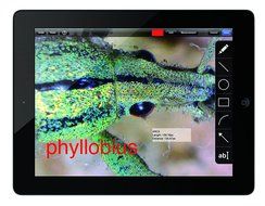 Moticam X WiFi Digital Microscope Camera (Windows 7,8 &amp;10, OSX compatible) N3