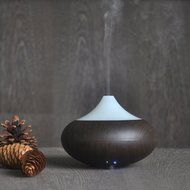 Cool Mist Humidifier Filter Free Ultrasonic Aroma Essential Oil Diffuser 100ml (Khaki) N4