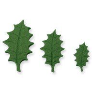 Knights Bridge Global Local PME Veined Holly Leaf Plunger Cutters, Set of 3 N5