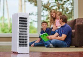 Ionic Comfort Air Purifier - Black N2