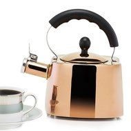 Old Dutch 1874 Europa Tea Kettle, 1.7 quart /1.6 L, Titanium N2