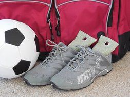 Natural Bamboo Charcoal Shoe Deodorizer Bags (Set of 4), Absorb Moisture and Odor Naturally in Shoes and Small... N4