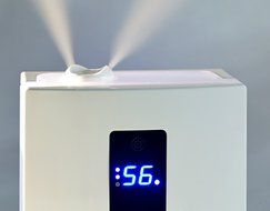 Digital Humidifier with LED Display Ultrasonic Cool &amp; Warm Mist with Digital Humidity, Mist Level Control &amp; Timer... N6