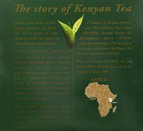 Safari Pure Kenya Tea - 100 Enveloped Tea Bags N2