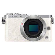 Panasonic DMC-GM1KD 12-32mm Silver Kit Lens 16MP Mirrorless Digital Camera with 3-Inch LCD (Orange)
