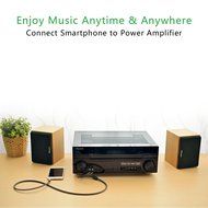 Ugreen Gold Plated 3.5mm 1/8" TRS to 6.35mm 1/4" TS Mono Y-Cable Splitter Cord for iPhone, iPod, Computer Sound...