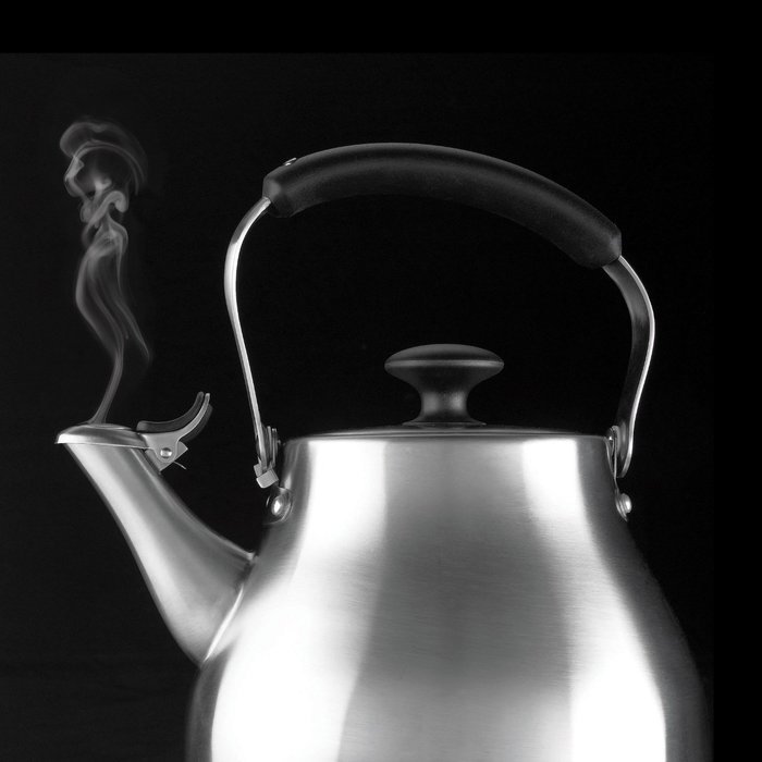 OXO Stainless Steel Tea Kettle N3