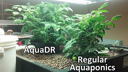 AquaDR Dual Root Zone Kit