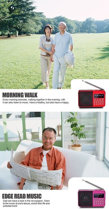 Timorn Portable Digital Receiver Supports TF Card/USB/MP3 format/FM Radio Function (Black) N2