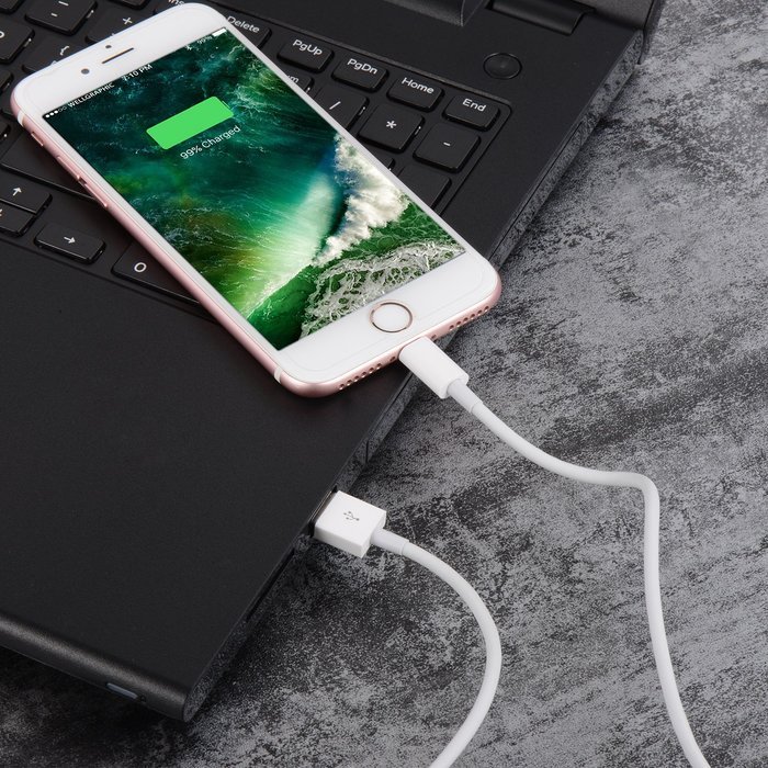 Benewell 3FT 8pin Lightning to USB Charging Cable Compatible with iPhone 7, 7 Plus, 6, 6s, 6 Plus, 6s Plus, 5s... N6