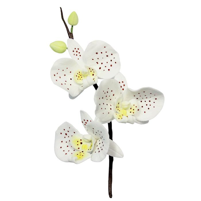 PME Metal Cutters, Moth Orchid Flower N2