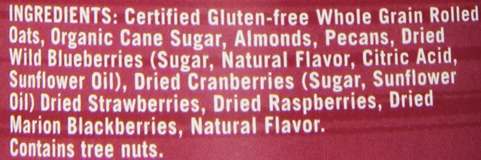Modern Oats Apple Walnut Oatmeal, 2.6 Ounce (Pack of 12) N64