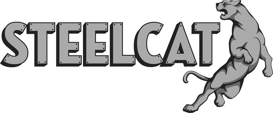 STEELCAT Honeycomb Catalytic Combustor (CS-453) for FIREPLACE XTRORDINAIR models FPX36 Elite, FPX44 Elite, by...