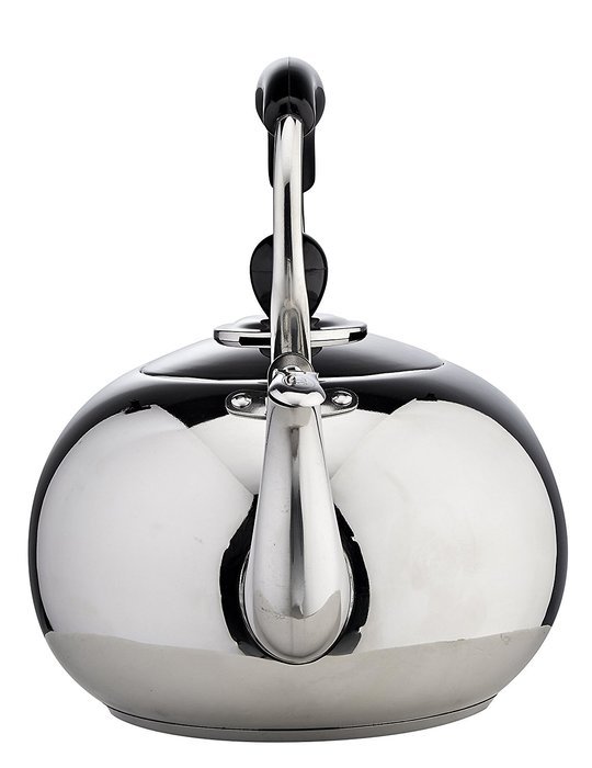 Whistling Tea Pot Polished Stainless Steel N10