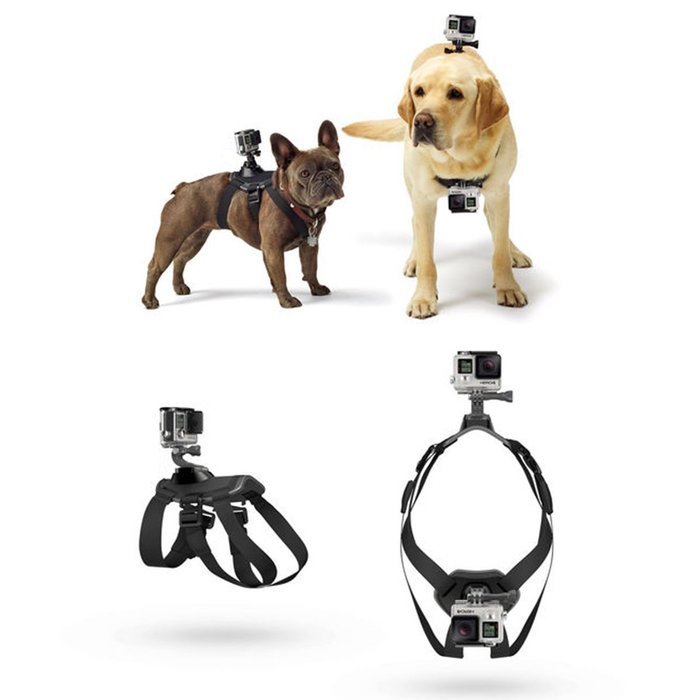 VolksPro Xiaomi Yi Dog Harness for Xiaomi Yi Action Camera and SJ Sport Camera Compatible with GoPro Hero 4 Hero...