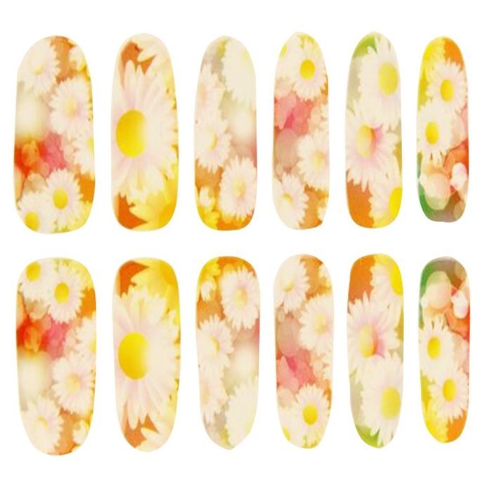 EVTECH(TM) 4 Pcs Rose Peony Carnation Flower Patterns Nail Polish Strips 12 double-ended Nail Decals Strips Nail... N25