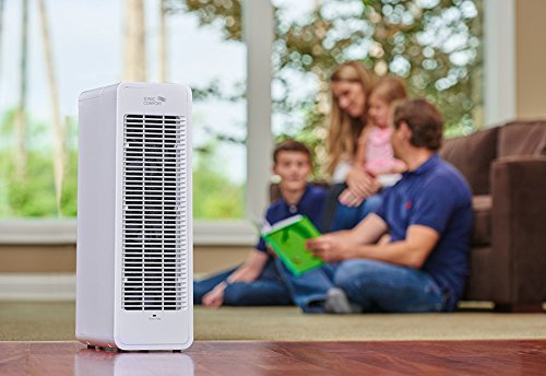 Ionic Comfort Air Purifier - Black N2