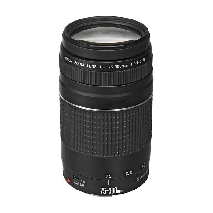 Canon EOS Rebel T5i Digital SLR Camera with Ef-s 18-55mm Is STM + 75-300mm Lens N2