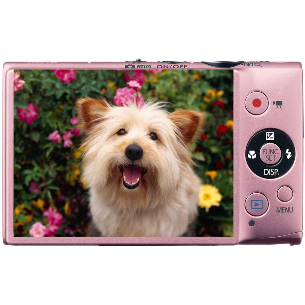 Canon PowerShot ELPH 110 HS 16.1 MP CMOS Digital Camera with 5x Optical