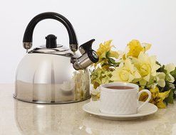 Kamenstein Whistle Tea Kettle (Stainless Steel, 2-1/2 Quart, Mirror Polish) N3