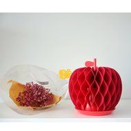 [PIOZIO] Non-Electric Eco-Friendly Felt Natural Evaporation ILEAF Fruits Humidifiers, Aromatic, Easy to Clean,... N2