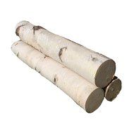 Three Large White Birch Fireplace Logs