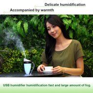 Becoler Electric Aromatherapy Essential Oil Diffuser 110ml Cool Mist Humidifier Aroma Diffuser Air purifier with... N15