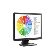 PrivacyView PVH1911 Professional 19-Inch LED Monitor Integrated 3M Privacy Filter 5:4 Aspect...