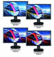 Viewsonic 22-Inch 5ms LED Monitor, Full HD 1920 x 1080p Resolution, Ergonomic Stand, MEGA... N3