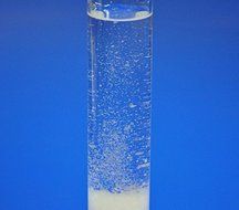 Tall 11-inch Admiral FitzRoy Storm Glass for Weather Forecasting N2