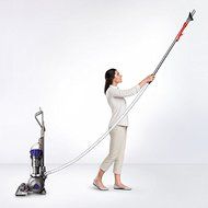 Dyson 216041-01 Ball Animal Bagless Upright Vacuum N5