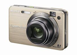 Sony Cybershot DSCW150/B 8.1MP Digital Camera with 5x Optical Zoom with Super Steady Shot (Black)