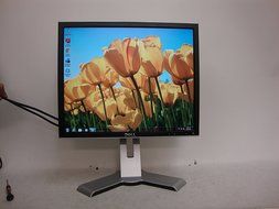 Dell 1908FP 19&quot; flat panel monitor - 1908FPC