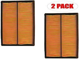 Oregon 30-436 (2 Pack) Air Filter Replaces Homelite 17210-ZJ1-842, 17210-ZJ1-841