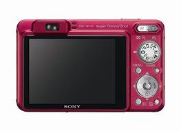 Sony Cybershot DSCW150/B 8.1MP Digital Camera with 5x Optical Zoom with Super Steady Shot (Black) N4