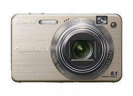 Sony Cybershot DSCW150/B 8.1MP Digital Camera with 5x Optical Zoom with Super Steady Shot (Black) N5