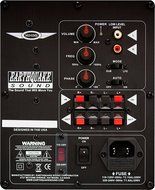 Earthquake Sound MiniMe P8_V2 Passive Tuned Powered Mini Subwoofer (Piano Black) N2