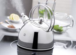Twin Specials 2.5 Litre Whistling Kettle N2