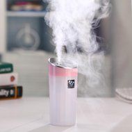 DZT1968 Car Family expenses Anion Humidifier Air Purifier Freshener With USB Interface (blue) N15