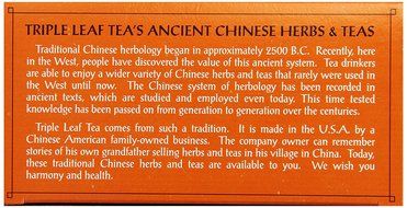 Triple Leaf Tea, Ginger, 20 Tea Bags (Pack of 6) N4