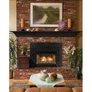 Direct Vent Fireplace Insert DV33IN73LP - Liquid Propane