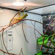 La Crosse Technology 926-25102-PET La Crosse Alerts 926-25102-PET Aquarium Monitoring System with Wet Probe for... N6