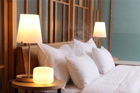 Ohala 300ml Aromatherapy Essential Oil Diffuser Ultrasonic Air Humidifier with 4 Timer Settings 7 LED Color Changing... N3