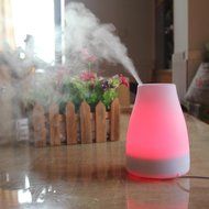 Sayhi 120 Milliliter Ultrasonic Mist Aroma Humidifier Aromatherapy Essential Oil Diffuser for Room,Car N4