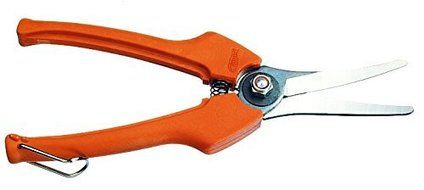 Bahco Pruning P129-19-BULK30 Grape Snips with Bent Slim Blades for Harvest or Thinning (30 Pack), 7.5 by Bahco