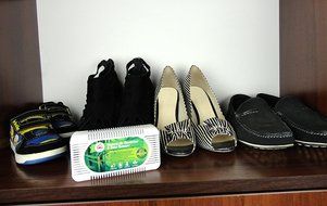 Natural Air Deodorizer and Odor Remover - Activated Bamboo Charcoal Odor Absorber and Air Purifier - Effective... N4