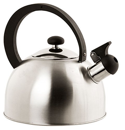 Home Basics Stainless Steel Tea Kettle, Silver N4